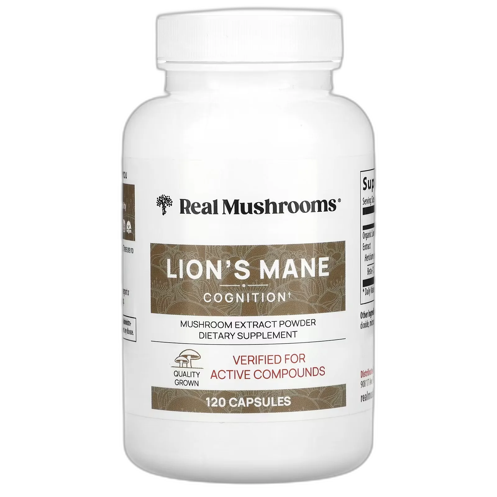 Lion’s Mane